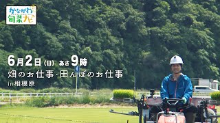 ウラナビ　6月2日放送：畑のお仕事・田んぼのお仕事 in 相模原