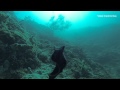 Diving in Si Amil Island