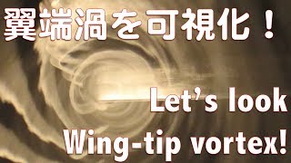 【実験】翼端渦を見てみよう！風洞で可視化した映像で解説