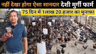 नही देखा होगा ऐसा देशी मुर्गी का फार्म | कमाई लाखो में होती है Free Range Deshi Murgi Palan