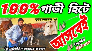 100% গাভী হিটে আসবেই। কৃষি চ্যানেল ২৪| Krishi Channel 24