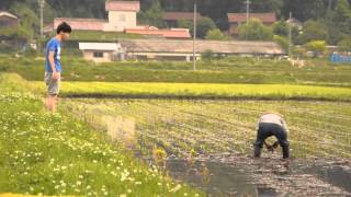 手植えお手伝い記録