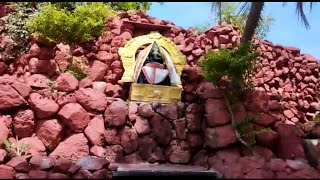 அனைத்து தோஷங்கள் விலக பொன்னை விநாயகர் கோவில்| Navagraha kottai|Ponnai Sorna Suyambu Vinayagar Kovil