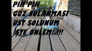 GÜVERCİNLERDE ÜST SOLUNUM,GÖZ SULANMASI İLTİHAP, HASTALIĞININ ÖNLEMİ.