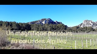 Un magnifique parcours de 65 km à vélo de route au coeur des Alpilles.