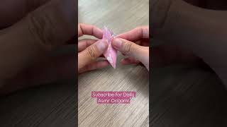 Cherry Blossom Asmr Origami