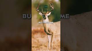 Innocent Deer |🦌🦌 Powerful Attitude| Best Motivational Quotes|#short #motivation #ytshorts #viral