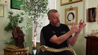 Explaining Dr.Hatsumi's TAIJUTSU | Biotensegrity in Motion