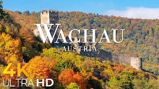 Wachau 4K - A Journey through Austria's Enchanting Wine Valley - 4K Video Ultra HD