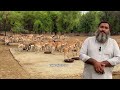 pak biggest black buck deer farm blackbucks wildlife salmankhan