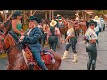 Beautiful Women Riding Horses in Colombia 😍 Chinchiná - Caldas