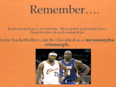Somatotypes Youtube