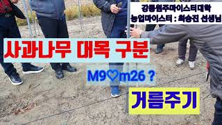 사과나무 대목 M26 \u0026M9 ?  거름주기