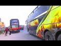 Bus Operator: Dreamline Bus Company