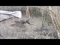 Wild Boar Crossbow hunting, Excalibur MAG 340