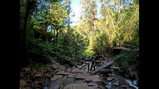 Exploring the Dandenongs: Our Hike to the Gorgeous Olinda Falls