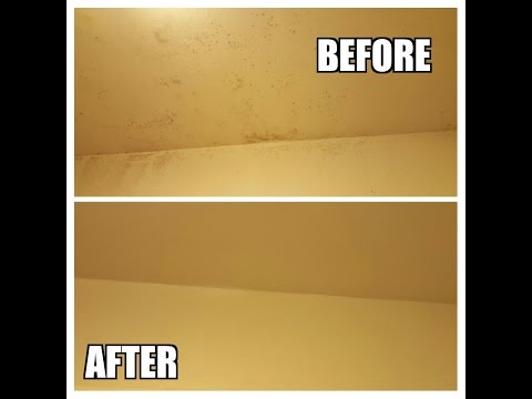 Remove black mold from bathroom ceiling and walls fast! Remove black mold from bathroom ceiling and walls fast!