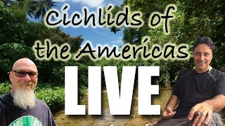 LIVE Cichlids of the Americas: One night only with the one and only Dan Sharifi