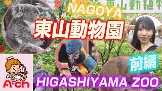 【A-CH】名古屋にある東山動物園紹介します。Introducing Higashiyama Zoo in Nagoya