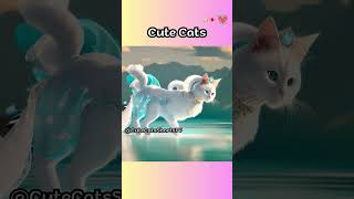 Cute Cats 200 #cute #Cats #shorts #short #Cat #CuteCats #CuteCat #funny #Funnyvideo