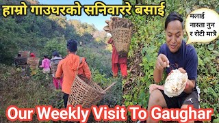 हाम्रो गाउघरको सनिवाररे बसाइँ | Our Weekly Visit To Gaughar @HMPfamilyvlogs