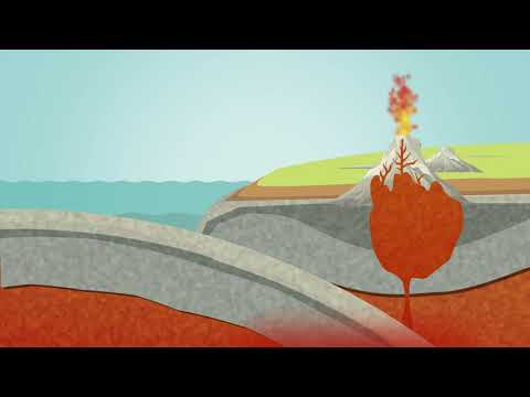 What is the difference between an oceanic plate and a continental plate?