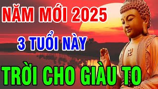 Trời Thương Phật Độ 3 Tuổi Này Tài Lộc Đầy Tay, Cả Năm 2025 Sung Túc GIÀU SANG