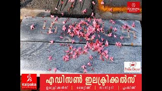 ശാസ്താവിടം ശ്രീധർമ്മശാസ്താക്ഷേത്രത്തിലെ പ്രദക്ഷിണ വഴി ശിലവിരിക്കുന്നതിന്റെ നിർമ്മാണം നടന്നു