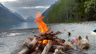 Camping Life: Tent Camping with Four-Legged Explorers in Norway’s Majestic Eikesdalen and Innerdalen