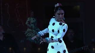 Caña – Antonio Andrade cía. flamenca, feat. Ursula Moreno, Villanueva San Juan (Sevilla), 2021