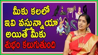 kalalo Emi Kanipiste Manchidi | మీకు కలలో ఇవి వస్తున్నాయా..అయితే మీరు కోటీశ్వరులే | Pooja Tv Telugu