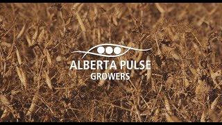 Alberta Pulse Growers AGM 2024