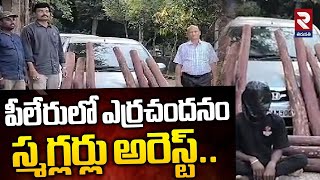 పీలేరులో ఎర్రచందనం స్మగ్లర్లు అరెస్ట్.. | Red Sandalwood Smuggling in Pileru | RTV Tirupathi