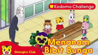 Menanam Bibit Bunga | Kartun Anak | Kodomo Challenge