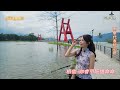 謝桂珍 ~ 雨傘代表阮心肝 李翊君 歌曲 街藝演唱 2024.10.25 珍心珍藝 海豚映像