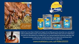 Mukhia Amrutam A2 Gir Cow Ghee - Traditional Bilona Method | Pure, Nutritious, and Farm-Fresh