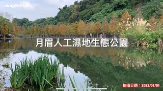 （桃園大溪）月眉人工濕地生態公園、小埤塘落雨松倒映美如畫。