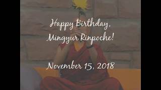 Happy Birthday, Mingyur Rinpoche!