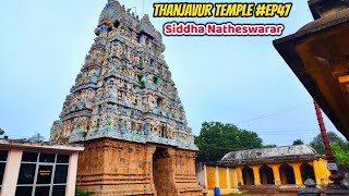 Siddha Natheswarar Temple🛕 Tirunarayur | Birthplace of Mazhalai Mahalakshmi🌺 | Thanjavur Kovil #EP47