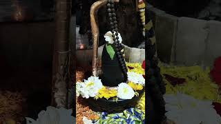 महामहिमे महालक्ष्मी अष्टकम || Darshan || Pipleswar Mahadev Devsthan