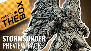 Unboxing: Stormsunder - Heirs Of Ruin Preview Pack | Lazy Squire Games