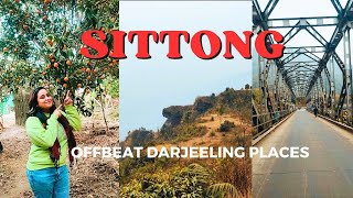 Unseen Beauty of Sittong Orange 🍊 Garden | Ahaldara View Point | Jogighat | Mangpu