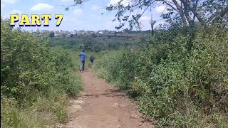 Shouting at Someone in Bushes: The Ultimate Experiment