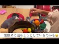 コザクラインコが寒い時のサイン3選【冬の飼育】