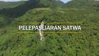 PELEPASLIARAN SATWA | JEJAK PETUALANG