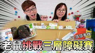 【維鼠日記】老鼠挑戰三層障礙賽，鼠寶寶有辦法通關嗎？【維特】#22 Ft.莎莎手作 ShaSha hand made｜Mice Mission Challenge