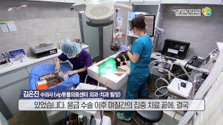 2021내일을JOB아라_수의사