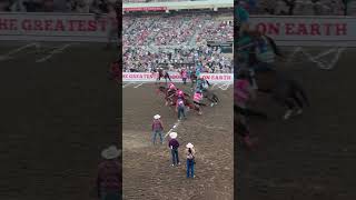 Indian Relay Calgary Stampede! #horse #culture #sports #extremesports