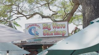 Discover the Charm of Big Wave Shrimp: A Family Business in Haleiwa