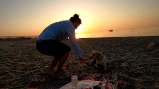 Labrador Elia Caspian Sea Shikh Beach Sunrise (Raki sofrası)